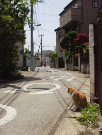 ���g�����L�E���܂̂��U������