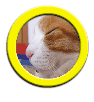 ���g�����L���܂����̃q�X�g���[