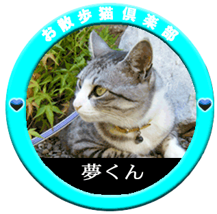 ���U���L�@������