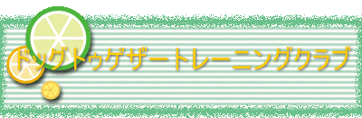 ドッグトゥゲザートレーニングクラブ