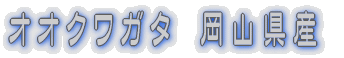 ���Y�I�I�N���K�^ 