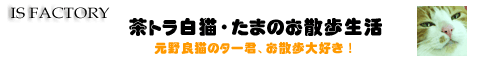 ���g�����L