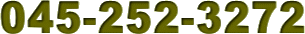 045-252-3272