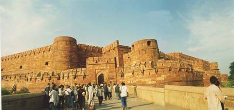 agrafort.jpg (18581 oCg)