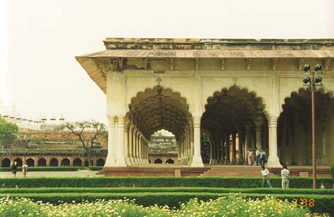 agrafort7.jpg (29443 oCg)